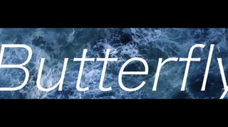 Butterfly／初音ミク