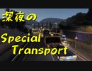 【Euro Truck Simulator 2】ペーパー歴10年が特殊貨物輸送　ニース → ニース / 油圧ショベルバケット（#49）【実況プレイ】