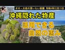 沖縄の自然の恵み　ボギー大佐の言いたい放題　2022年02月15日　21時頃　放送分