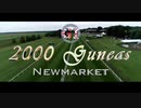 【ウマ娘風】第213回G1ニューマーケット2000ギニーステークス (2021)