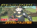 ポケモンレジェンズ アルセウス　おすすめレベル上げ場所　訓練所　デンボク戦　＃４８９【Pokémon LEGENDS アルセウス】