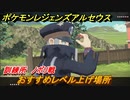 ポケモンレジェンズ アルセウス　レベル上げの場所は？　訓練所　ノボリ戦　＃４９１【Pokémon LEGENDS アルセウス】