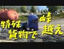 【Euro Truck Simulator 2】ペーパー歴10年が特殊貨物輸送　クラクフ → B.ビストリツァ / 熱交換器（#60）【実況プレイ】