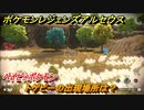 ポケモンレジェンズ アルセウス　トゲピーの出現場所は？　ベイビィポケモン　図鑑コンプへの道　＃４９６【Pokémon LEGENDS アルセウス】