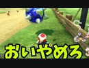 Switch版マリオカート！part100 (ゆっくり実況)『マリオカート8DX』