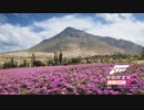 FH5OP テスト