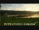 （超超不定期ショート動画？ｗ）ざ・狩りＣＯＴＷ、でぇやもんどアカシカ編ｗ