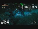 【ゆっくり実況】Horizon Zero Dawn その34