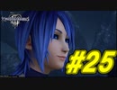 【実況】キングダムハーツⅢ～2人で行くディズニーの世界～＃25【初見】