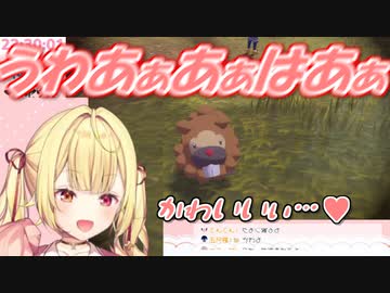 【Pokémon LEGENDS アルセウス】ビッパと戯れて限界化する星川サラ【にじさんじ切り抜き】