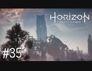 【ゆっくり実況】Horizon Zero Dawn その35