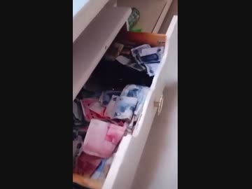 ホモとみる 現金を集めてくる鳥