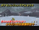 ポケモンレジェンズ アルセウス　夜のみ出現するポケモンは？　ユキメノコの出現場所は？　ポケモン図鑑コンプへの道　＃５１７【Pokémon LEGENDS アルセウス】