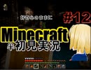 好奇心のままにMinecraftを半初見実況 part12