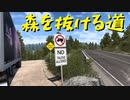 【American Truck Simulator】ペーパー歴10年がアメリカを駆ける 第22回【実況プレイ】