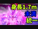 身長170㎝以下にも人権はありますポケモン剣盾【ゆっくり実況】