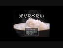 【バカゲー】米を食べるためにパン屋から逃げ回るゲームが最高に面白すぎた 米がたべたい