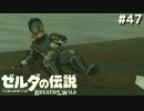 股に退魔の剣ついてんだぞ！【ゼルダの伝説 ブレス オブ ザ ワイルド㊼】