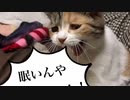 2022/02/16(水) 23:07 うすしお 配信アーカイブ