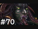 【FF10】これはひよこの物語 70【Steam版】