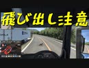 【ETS2 Project Japan】ペーパー歴10年が大型トラックで日本国内旅行 第６回【実況プレイ】