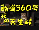 【ETS2 Project Japan】ペーパー歴10年が大型トラックで夜の酷道360号 天生峠越えに挑む（#10）【実況プレイ】