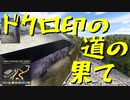 【ETS2 Project Japan】ペーパー歴10年がラスボス（？）ドクロマークの道に挑戦（#13）【実況プレイ】