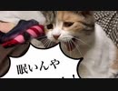 2022/02/17(木) 00:09 うすしお 配信アーカイブ