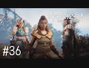【ゆっくり実況】Horizon Zero Dawn その36