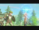 【ブレワイ】依頼を受けて、微妙な雰囲気にしてみた【ドリカラ】【ゼルダの伝説ブレスオブザワイルド,BotW,ゼル伝,字幕実況】