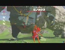 【ブレワイ】依頼を受けて、ヒノックスとイワロックと同時に戦ったらＨＰバーがどうなるのか調べてみた【ドリカラ】【ゼルダの伝説ブレスオブザワイルド,BotW,ゼル伝,字幕実況】
