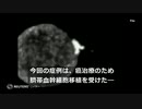 ＨＩＶ感染患者の治癒報告、女性では世界初