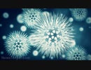 コロナワクチンの解毒方法　WCH(世界保健機関)