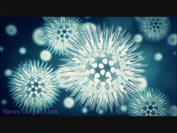 コロナワクチンの解毒方法　WCH(世界保健機関)