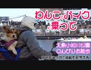 モンキー１２５に乗って、しっぽ付きコーギーと大島小松川公園を散歩する。ついでに、タダで江戸川競艇を見物する。