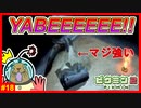 実体を持たない!?反撃不能の敵アメボウズの襲撃にピクミン阿鼻叫喚!!【ピクミン2#18】