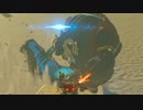 【ブレワイ】依頼を受けて、キングラジークのＨＰを確認してみた【ドリカラ】【ゼルダの伝説ブレスオブザワイルド,BotW,ゼル伝,字幕実況】