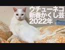 ウチューネコチャン、新春かくし芸を披露する