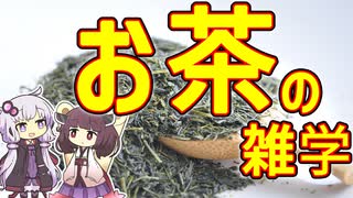 【雑学】お茶【VOICEROID解説】