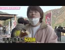 なにわ男子【エモ旅】サービスエリアで朝食オゴリのメンバーは!?