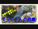 セキセイインコのそらちゃんの放鳥タイム おまけ付 2022年2月18日