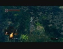 【DARK SOULS REMASTERED】修行後に更に修行（ソウル集め）【5作品目】＃11