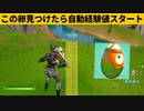 【小技集】自動経験がもらえる「フィッシュエッグ」が見つかるチートマップ！シーズン１値最強バグ小技裏技集！【FORTNITE/フォートナイト】