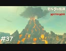 どうして燃えたまま行けると思ったのか【ゼルダの伝説 ブレスオブザワイルド マスターモード】#37