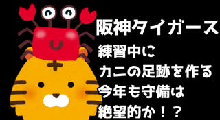 【ボイロニュース】阪神、守備練習でカニの足跡を作ってしまう