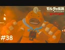 怖がりはモヒカンにしない【ゼルダの伝説 ブレスオブザワイルド マスターモード】#38
