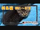 我が家の猫さんの成長記録総集編#1～#10