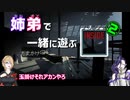 姉弟で一緒に遊ぶINSIDE  ＃02 この子何したん？
