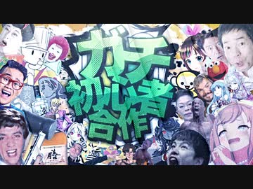 ガチ初心者合作