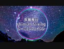 C-POP 失眠飛行(シーミェンフェイシン) 【歌詞】日本語訳 , pinyin(ピンイン付)